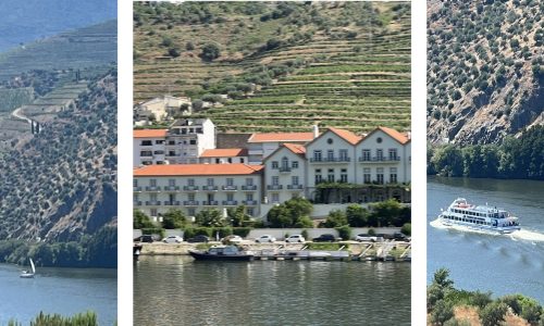 Liz Palmer_Portugal Wine