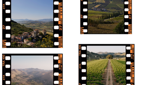 Liz Palmer_Sicily