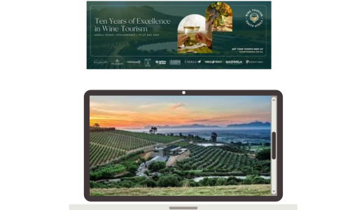 Liz Palmer_South Africa_Wine Tourism