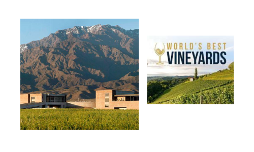 Liz Palmer_The Worlds Best Vineyards 51-100 2025