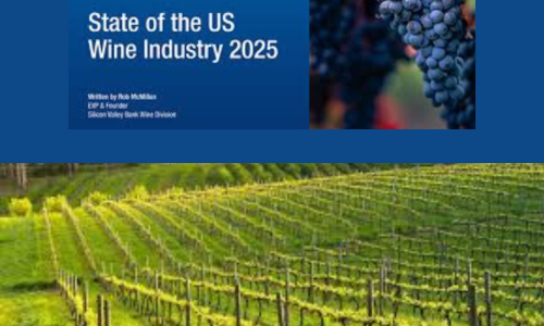 Liz Palmer_Wine 2025