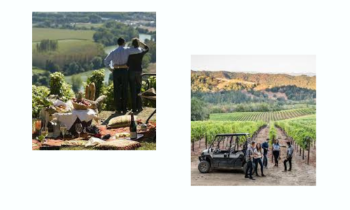 Liz Palmer_Wine Tourism