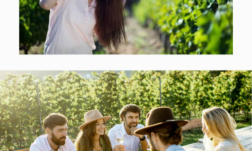 Liz Palmer_Wine Tourism_2026