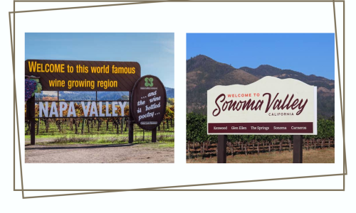 Liz Palmer_Wine Tourism_California