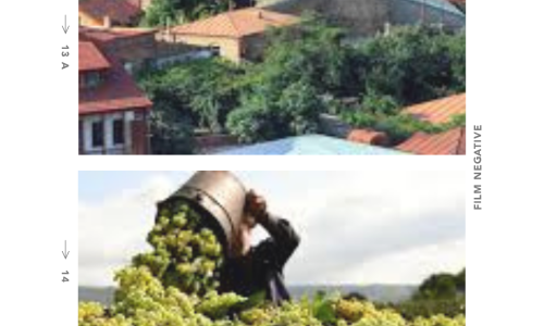 Liz Palmer_Wine Tourism_Georgia