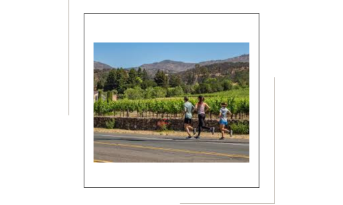 Liz Palmer_Wine Tourism_Napa