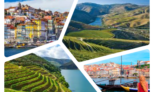 Liz Palmer_Wine tourism_Portugal