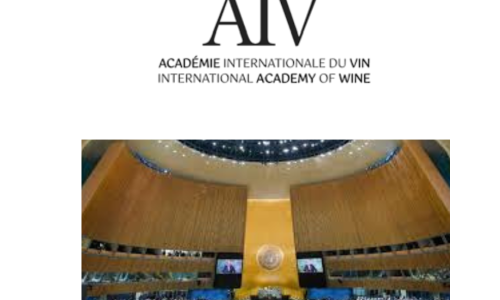 Liz Palmer_Wine_Sept