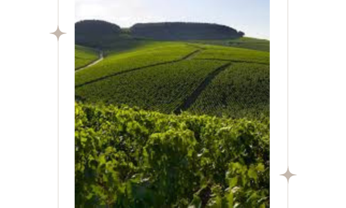 Minimalist Square Photo Instagram Post