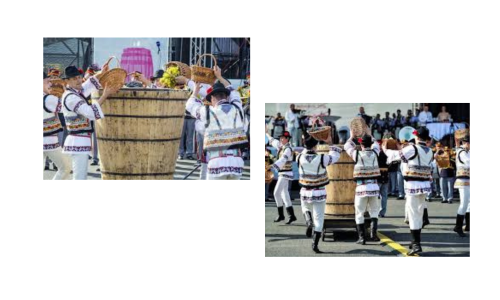 Mondovia_Signals a New Era for Global Wine Tourism