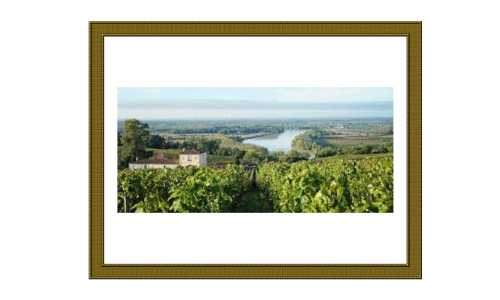 New year, new adventures.. cheers to a magical 2026!