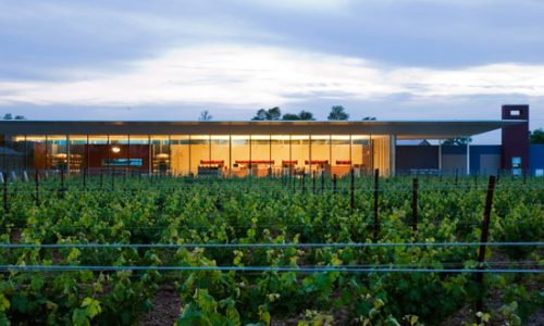 Niagara_estate_vinesbuilding-1