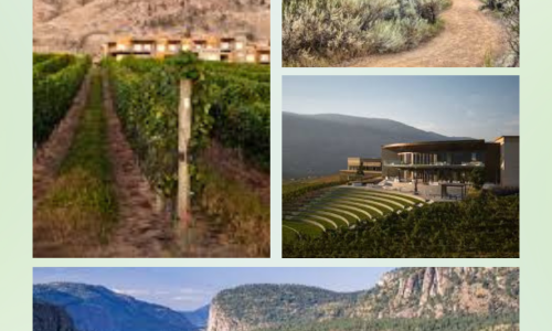 Oliver–Osoyoos_BC_Liz Palmer