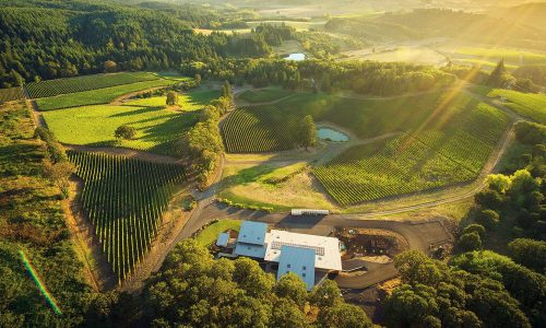 Oregon Wine Region