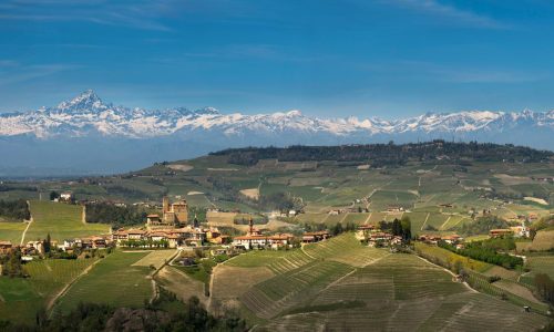 Photo 1 - vineyards