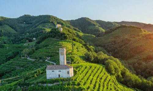 Piaiprosecco029_piai-500x250