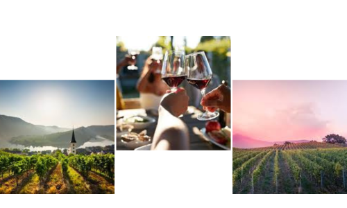 Reframing Europe’s Wine Sector Through Policy and Tourism