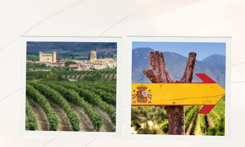 Rioja Wine Tourism Surges to €197 Million in 2024