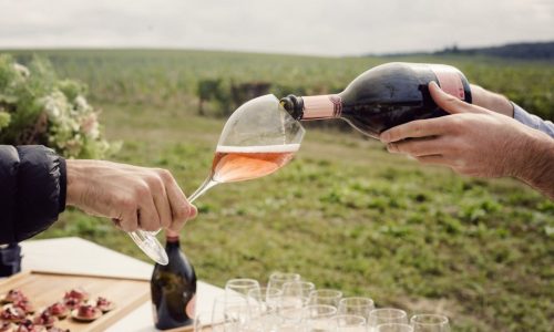 Ruinart_Champagne_Harvest_018-1024x709