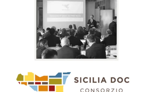 Sicily_Wine Tourism_