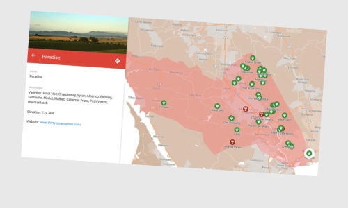 Summer Vibes Photo Collage (2)