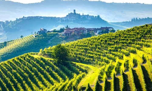 Tuscany-Liz Palmer