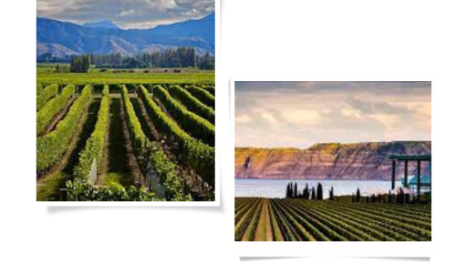 UNWTO Sets Spotlight on Tourism Investment in the Americas