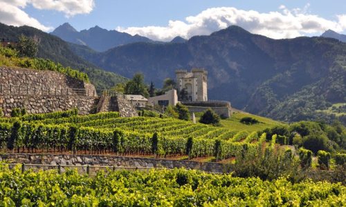 Valle-dAosta-countryside-vineyard