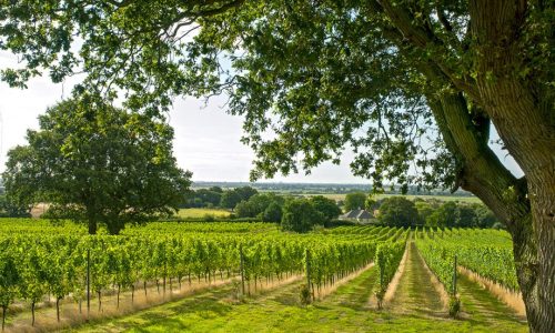 WINEGB 2021