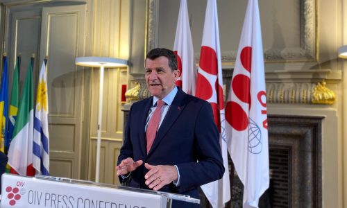 WhatsApp Image 2025-04-15 at 1.57.44 PM