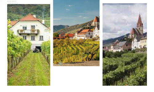 White Beige Minimalist Photoshoot Fashion Photo Collage