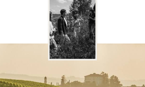 Wine Tourism_Asti
