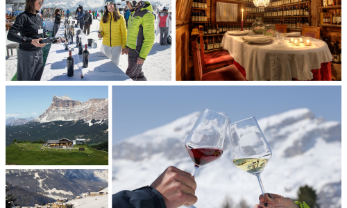 Wine in Trentino