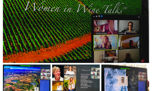Women in Wine Talks with Chile and Argentina - October 2020 - Liz Palmer
