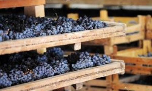 amarone-della-valpolicella