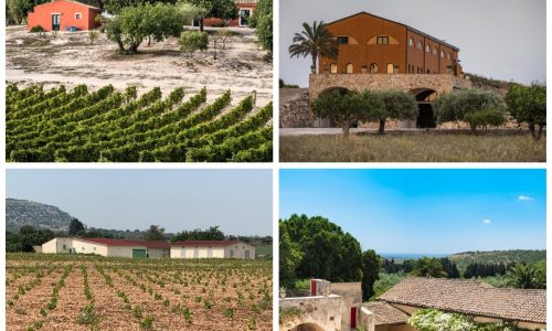 collage 2 winereis noto