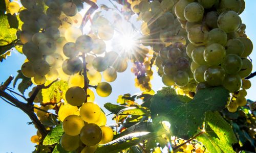 Niagara Falls, Ontario, Canada