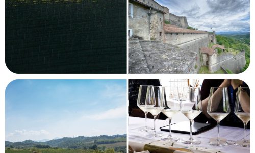 pLiz Palmer_Gavi_Piedmont Italy_Wine Tourism