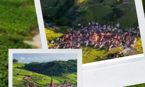 Alsace - Liz Palmer
