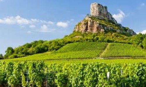 pouilly-fuisse-1616-1-1