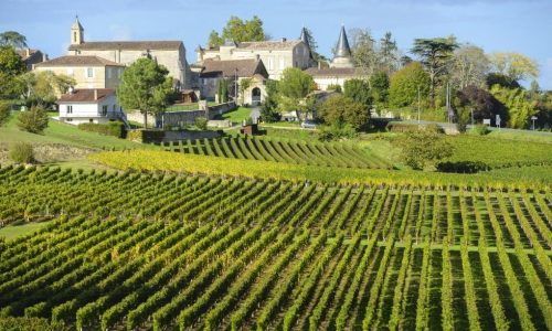 vineyard-saint-emilion-bordeaux-and-the-wine-country-france_980x650