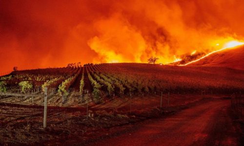 wildfires-vineyard-gty-ps-191024_hpEmbed_19x12_992