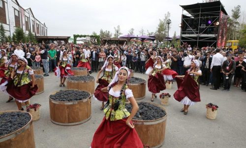 wine_